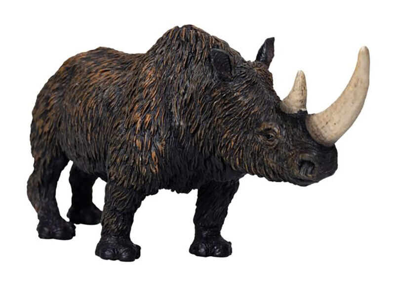 Mojo Nosorožec srstnatý